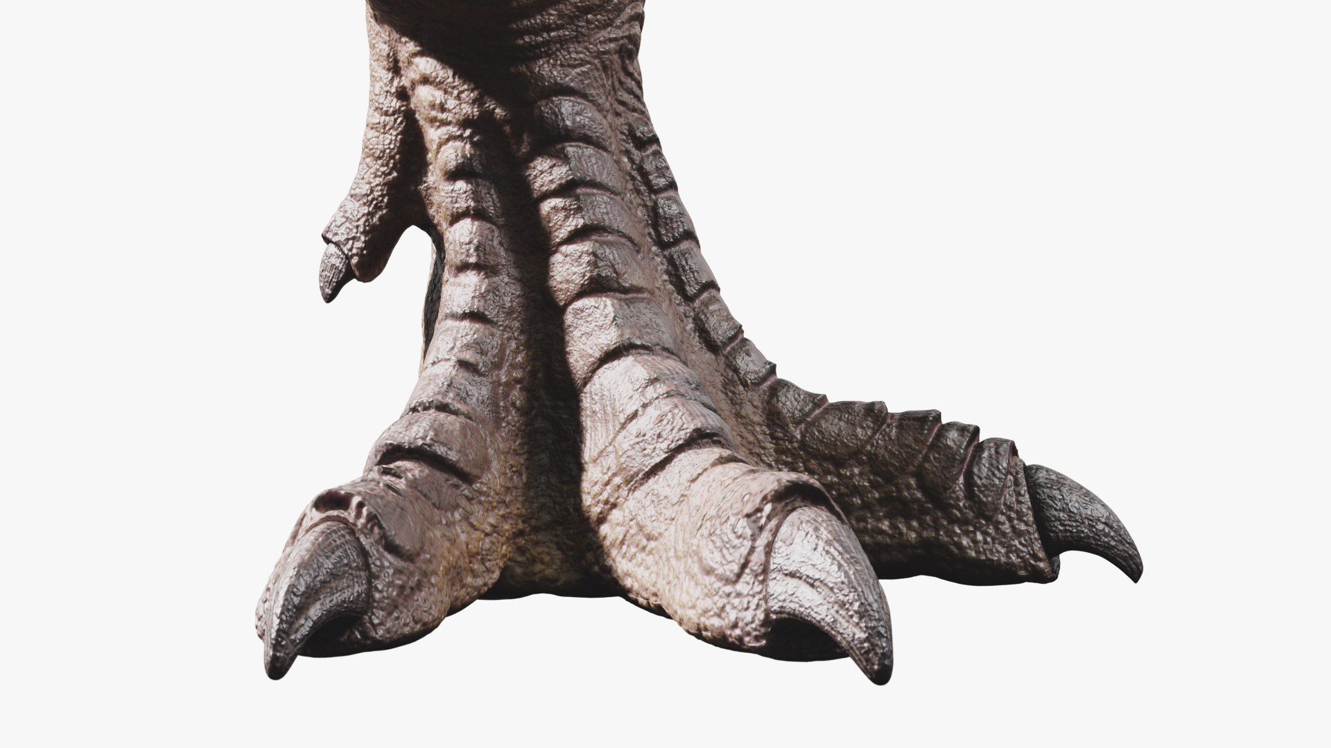 3D model tyrannosaurus rex https://p.turbosquid.com/ts-thumb/rc/pDg12m/k8ddwQrU/sig_05/jpg/1539726488/1920x1080/fit_q87/00a72d63254ea79d63552df13c1a8dc2b74ef98b/sig_05.jpg