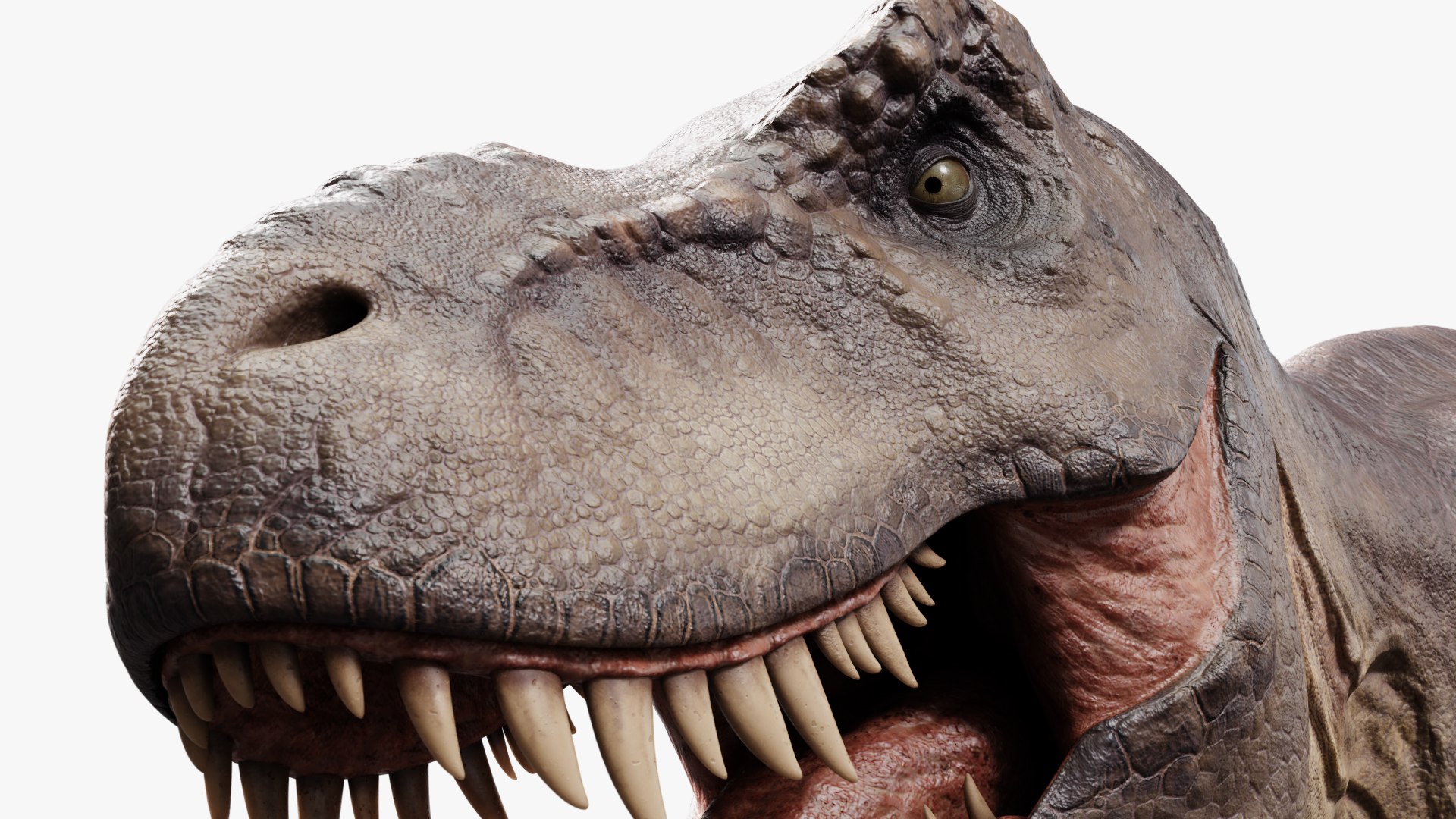 3D model tyrannosaurus rex https://p.turbosquid.com/ts-thumb/rc/pDg12m/nYtCef9L/sig_06/jpg/1539726488/1920x1080/fit_q87/0a804f66c8a2df27c66804382128ca9b1bd7b0aa/sig_06.jpg