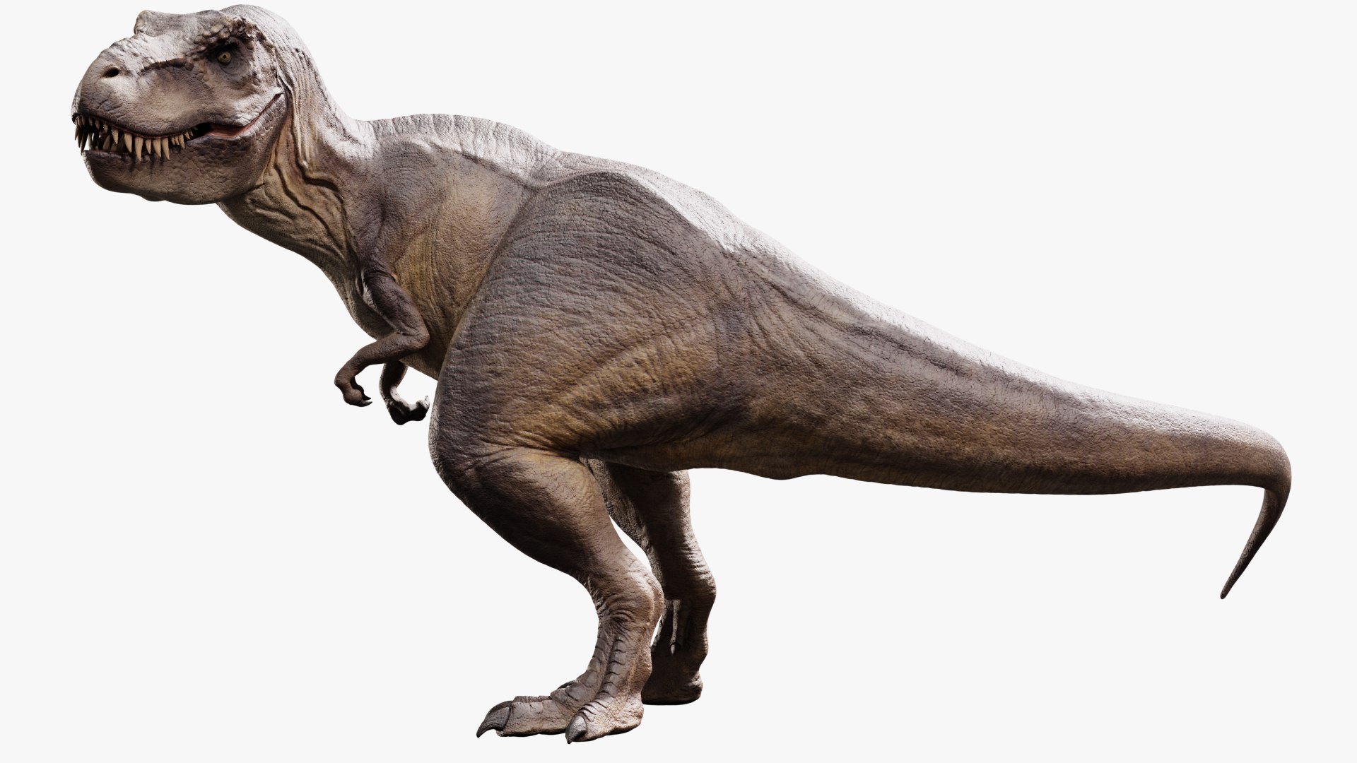 3D model tyrannosaurus rex https://p.turbosquid.com/ts-thumb/rc/pDg12m/uRFGfzgM/sig_08/jpg/1539726488/1920x1080/fit_q87/237c985247c43efe3ce13cab6d10b47f984034fe/sig_08.jpg