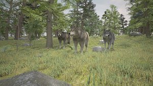 forest wolfs rigged