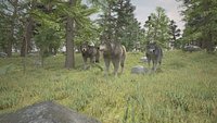 forest wolfs rigged