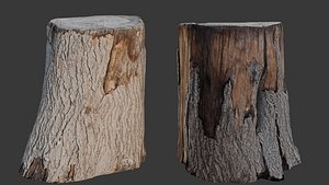 Realistic Tree Stump 3D model