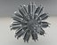 Radial Engine Siemens-Halske Sh