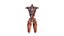 Female Urinary System Anterior