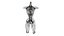 Female Urinary System Anterior