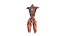 Female Urinary System Anterior