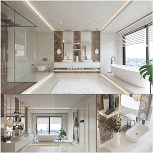 Contemporary Bathroom Interior 3D