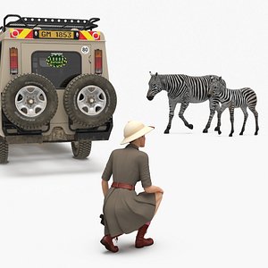 3D Safari Guide Observing Zebras