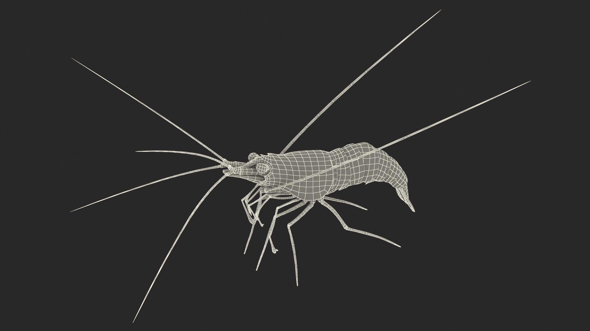 3D Red Blood Cleaner Shrimp Fur model https://p.turbosquid.com/ts-thumb/rd/g3caLE/55/redbloodcleanershrimpfurc4dmodel022/jpg/1680401626/1920x1080/fit_q87/f99ec779e1d46192360f39c0ef31a63e9e218311/redbloodcleanershrimpfurc4dmodel022.jpg