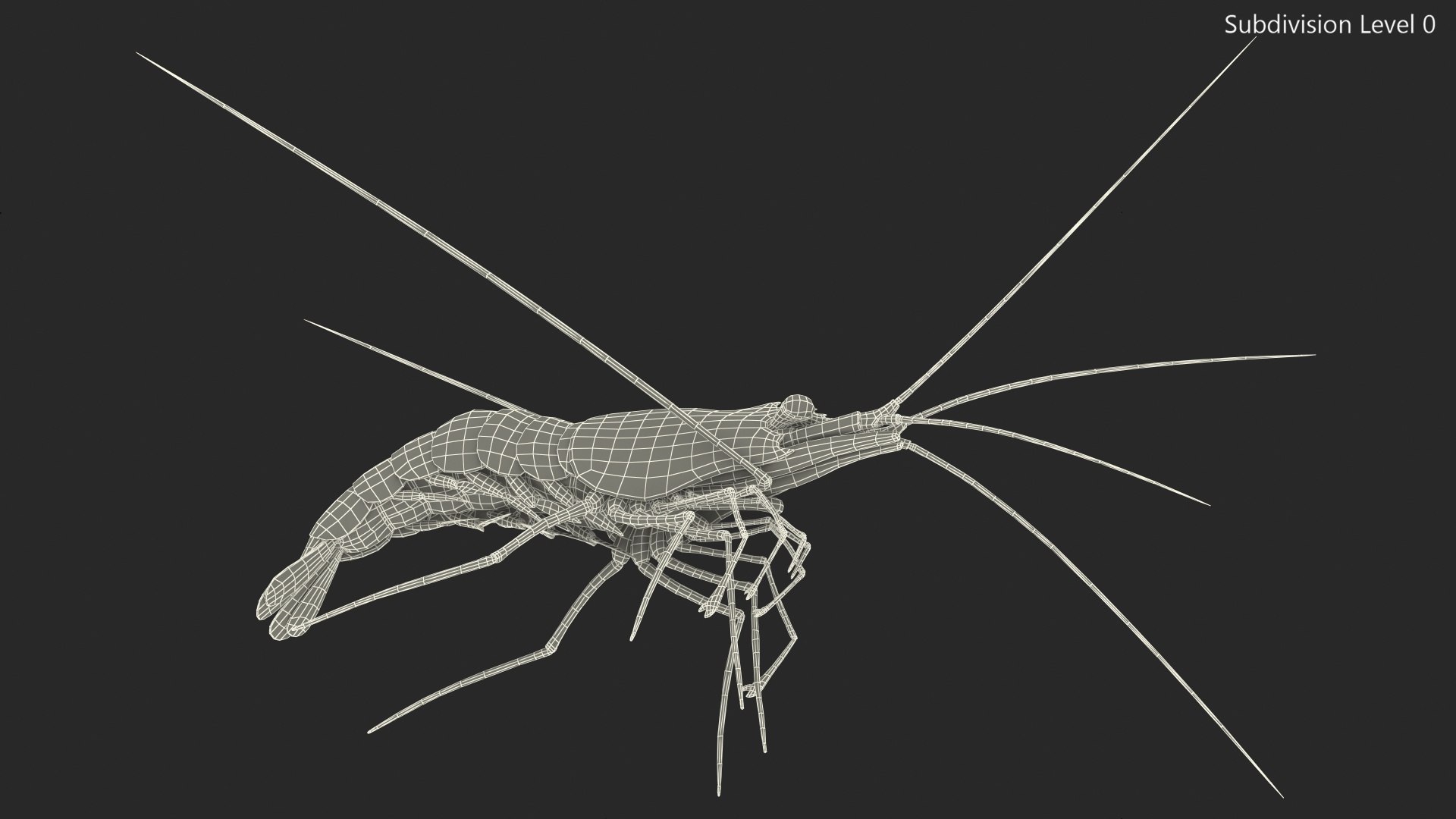 3D Red Blood Cleaner Shrimp Fur model https://p.turbosquid.com/ts-thumb/rd/g3caLE/ND/redbloodcleanershrimpfurc4dmodel017/jpg/1680401609/1920x1080/fit_q87/ca719a4ad252b9a7859fbe24e83d58f5bcf9e032/redbloodcleanershrimpfurc4dmodel017.jpg