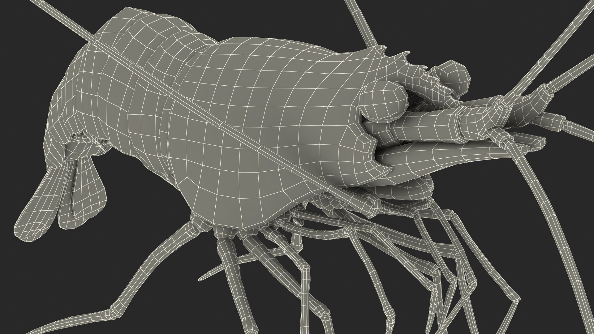 3D Red Blood Cleaner Shrimp Fur model https://p.turbosquid.com/ts-thumb/rd/g3caLE/P6/redbloodcleanershrimpfurc4dmodel026/jpg/1680401639/1920x1080/fit_q87/da595fbf9bd991c9f3937e8320f972cf6e75a466/redbloodcleanershrimpfurc4dmodel026.jpg