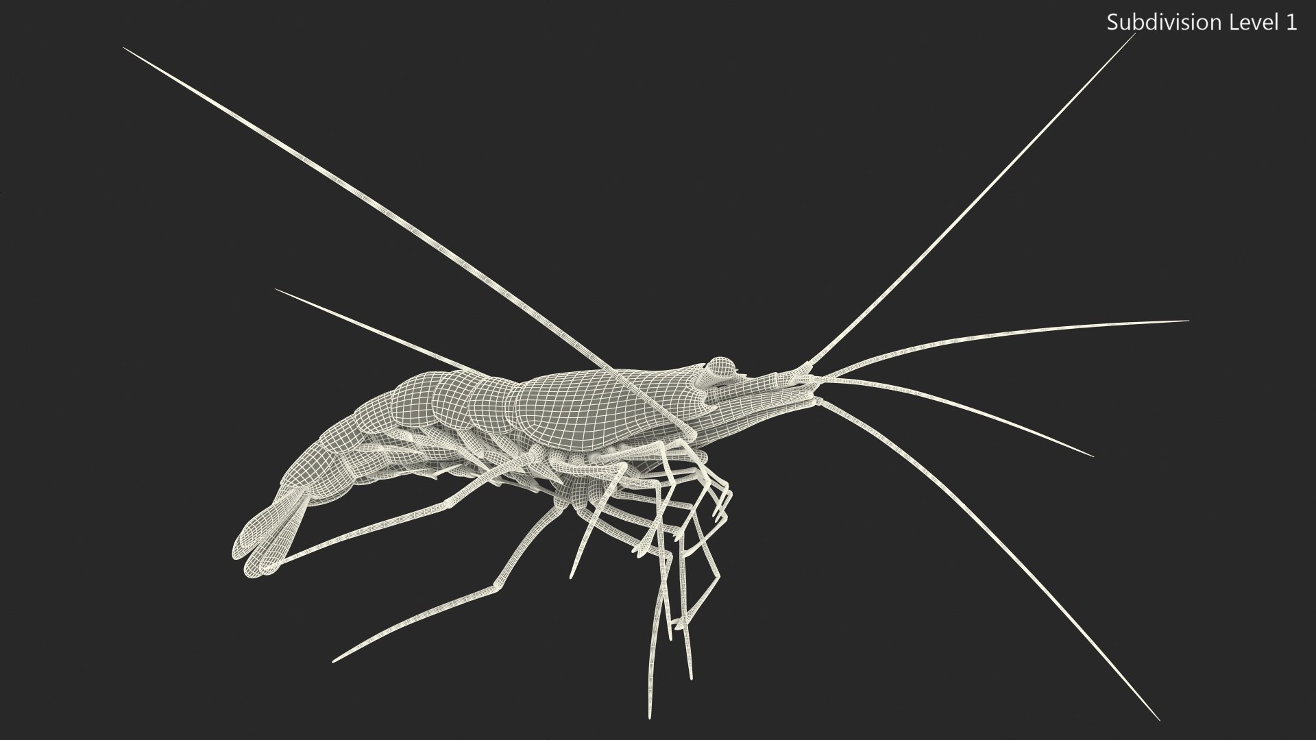 3D Red Blood Cleaner Shrimp Fur model https://p.turbosquid.com/ts-thumb/rd/g3caLE/Th/redbloodcleanershrimpfurc4dmodel018/jpg/1680401612/1920x1080/fit_q87/715eb7ee78a385d96e95897eb22bd5f55c694ed1/redbloodcleanershrimpfurc4dmodel018.jpg