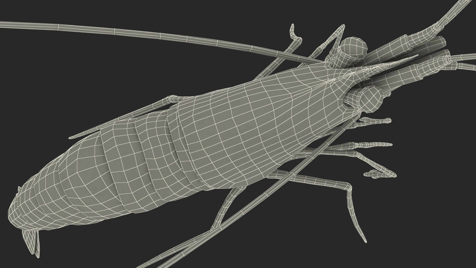 3D Red Blood Cleaner Shrimp Fur model https://p.turbosquid.com/ts-thumb/rd/g3caLE/XC/redbloodcleanershrimpfurc4dmodel024/jpg/1680401632/1920x1080/fit_q87/5f9ecde131cb1bc5a3b994822ac8ec0a79f8c6d0/redbloodcleanershrimpfurc4dmodel024.jpg