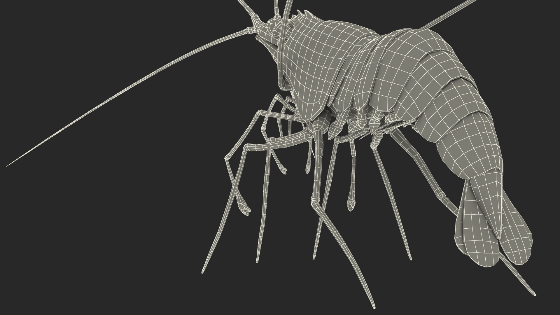 3D Red Blood Cleaner Shrimp Fur model https://p.turbosquid.com/ts-thumb/rd/g3caLE/dw/redbloodcleanershrimpfurc4dmodel023/jpg/1680401629/1920x1080/fit_q87/d07f70d5b64f9f8e58db1fd357b161a8fb0e06be/redbloodcleanershrimpfurc4dmodel023.jpg