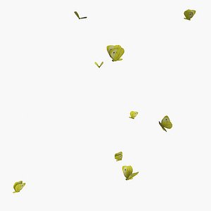 flock butterflies 3d model