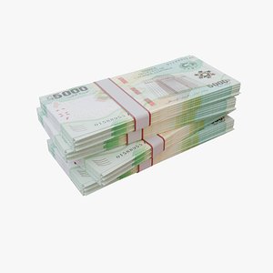 3D 5000 Central African CFA Franc XAF model
