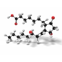 3D Prostaglandine E1 Molecular model C20H34O5