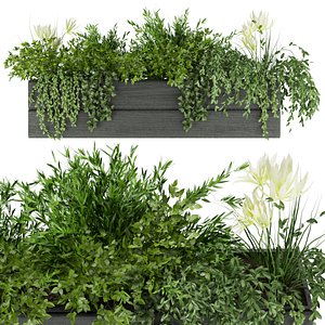 3D Collection plant vol 90 - leaf - flower model