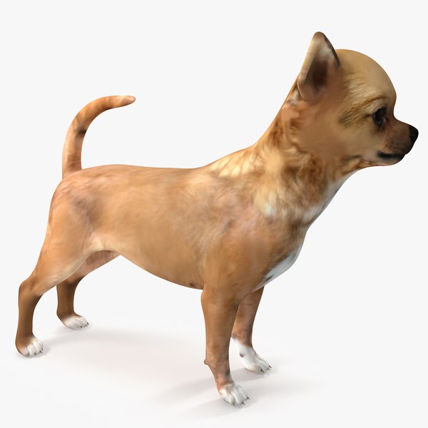 9 Actionable Referrals On Dogs? And Twitter.