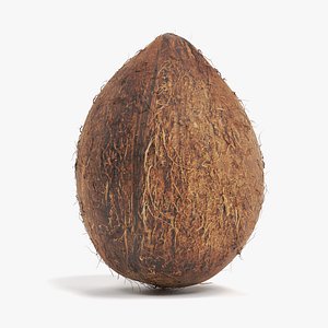 3D coconut coco nut