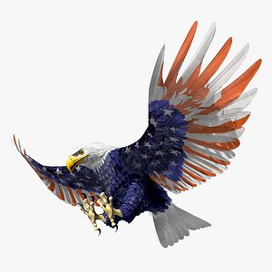 American Bald Eagle Stars and Stripes