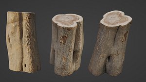 Log scan 3D