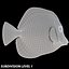 Pescado Tropical Tang Amarillo