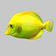 Pescado Tropical Tang Amarillo