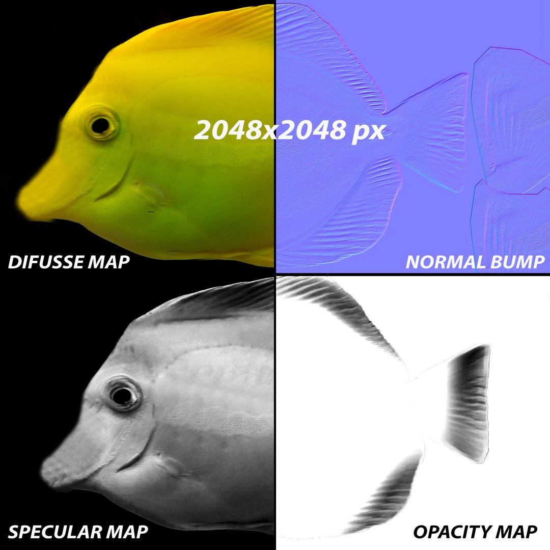 3ds max yellow tang tropical fish https://p.turbosquid.com/ts-thumb/re/Mv7uw5/cBFuylud/texture/jpg/1398698489/1920x1080/fit_q87/568cf3b788d1875462807e8222325a3d9efd62fd/texture.jpg