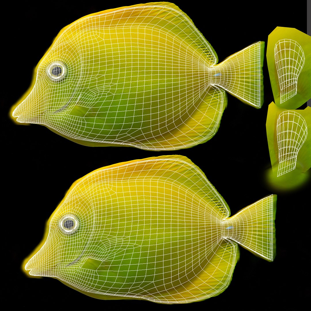 3ds max yellow tang tropical fish https://p.turbosquid.com/ts-thumb/re/Mv7uw5/eH1ZxYNR/jlkljk/jpg/1398773543/1920x1080/fit_q87/9a8c29e6efeaf043ebbe57bd0baefa263b8e2957/jlkljk.jpg