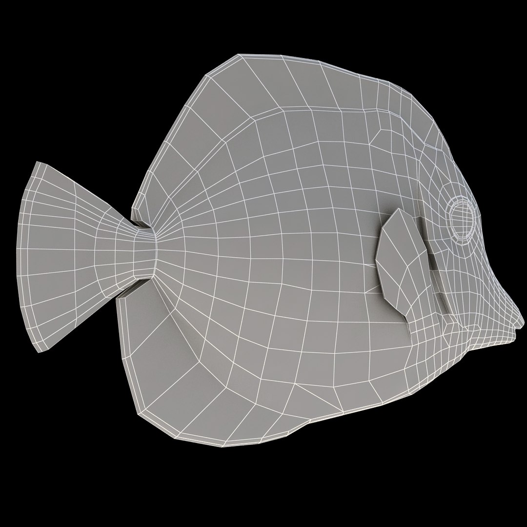3ds max yellow tang tropical fish https://p.turbosquid.com/ts-thumb/re/Mv7uw5/onxRo95Q/5/jpg/1398969695/1920x1080/fit_q87/63d9e28f5011e59e039c2bfadf110940112f18a3/5.jpg
