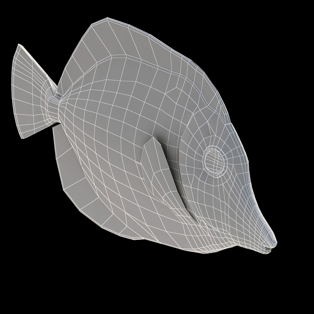 3ds max yellow tang tropical fish https://p.turbosquid.com/ts-thumb/re/Mv7uw5/w1em9Km3/222/jpg/1398969695/1920x1080/fit_q87/e9f67af54d20676dd2b5f71c1ea4dfa13afb2b83/222.jpg