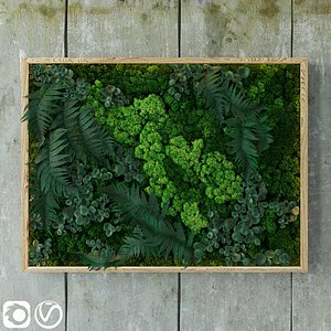 Fytowall