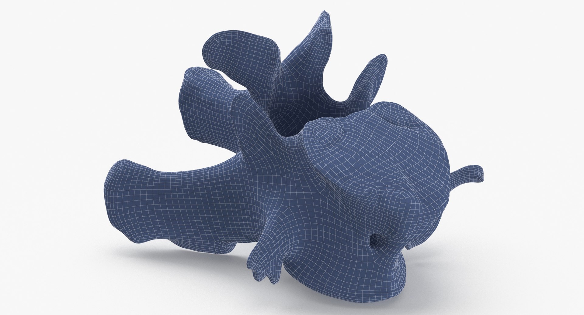 Kangaroo Red Necked Wallaby Lumber Vertebrae L1 3D model https://p.turbosquid.com/ts-thumb/re/Xi4LBD/it/kangaroo_red_necked_wallaby_lumber_vertebrae_l1_wireframe_0003/jpg/1693401376/1920x1080/fit_q87/7d21301fa64b5d995b85d76cfee12b19bce54101/kangaroo_red_necked_wallaby_lumber_vertebrae_l1_wireframe_0003.jpg
