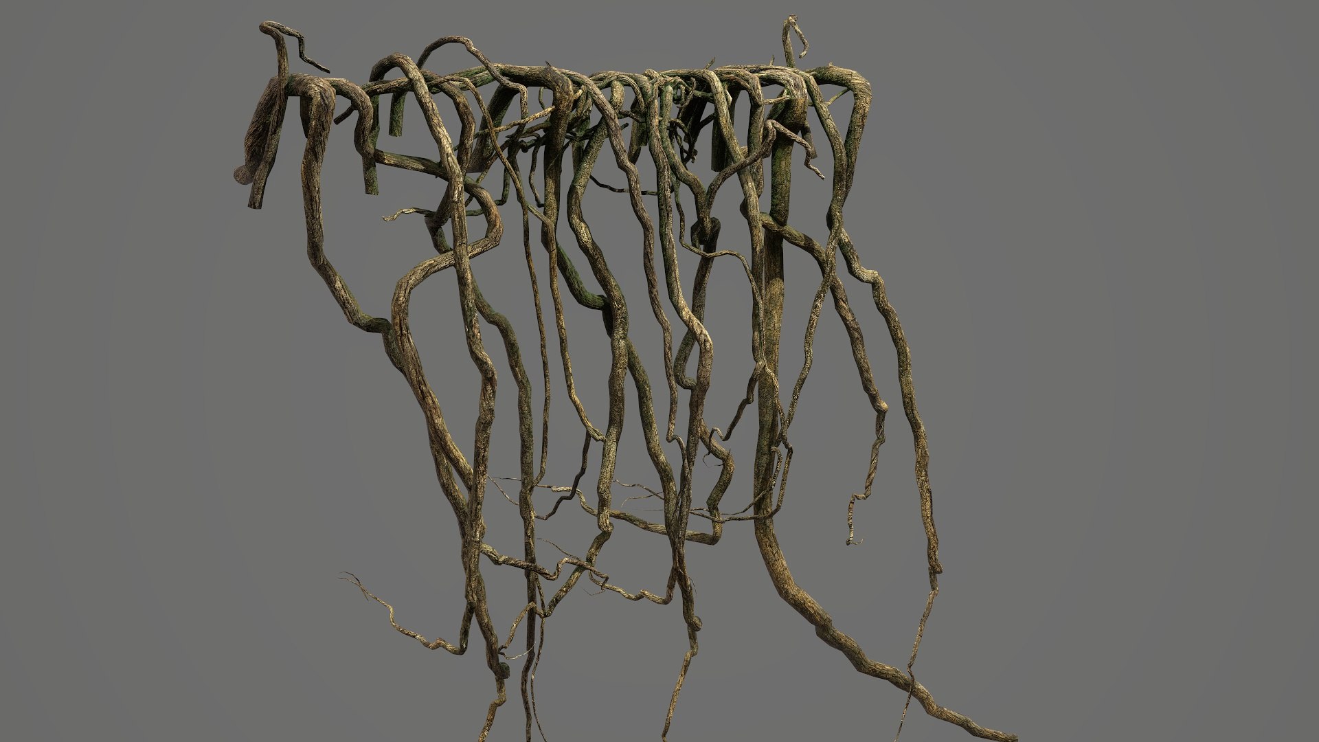 3D Tree Roots V5 PBR - TurboSquid 2360253