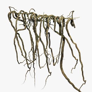 3D Tree Roots V5 PBR