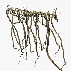 Tree Roots V5 PBR