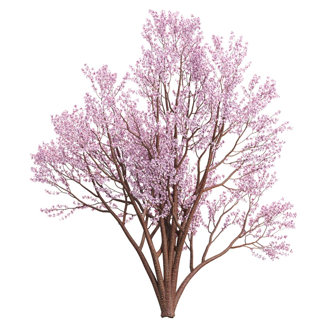 3D Spring Bloom Trees Collection Vol 294-Cherry https://p.turbosquid.com/ts-thumb/re/ZmgCLy/KU/02/jpg/1744109623/1920x1080/fit_q87/9f3c0b327de86064d55bab625658e82aabb65f11/02.jpg
