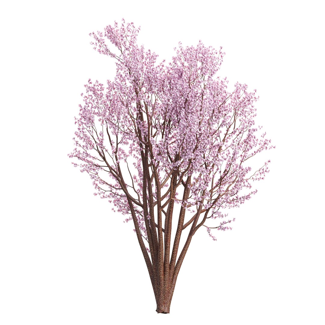 3D Spring Bloom Trees Collection Vol 294-Cherry https://p.turbosquid.com/ts-thumb/re/ZmgCLy/X9/01/jpg/1744109621/1920x1080/fit_q87/d2747d1b2e54c01d820ecad16ea75dd62b46e606/01.jpg