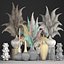 Decor with dry flowers Phragmites
