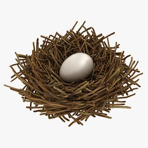 realistic bird nest 01 3D model