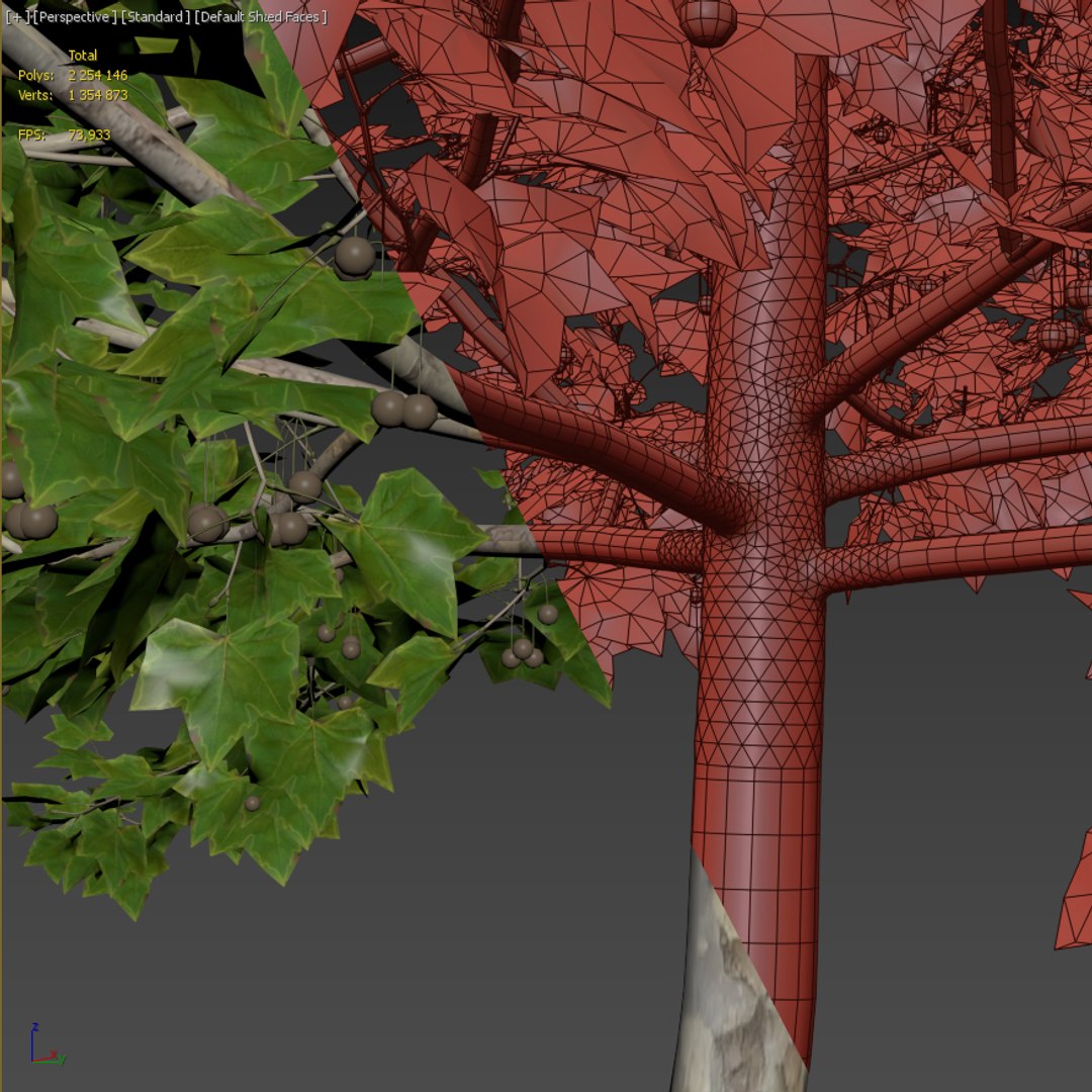 sycamore platanus platan 3D model https://p.turbosquid.com/ts-thumb/re/urAuLe/R4A0Psde/9/jpg/1587635412/1920x1080/fit_q87/23615300ab2041ae42d4eddf5711a3d36154d7de/9.jpg