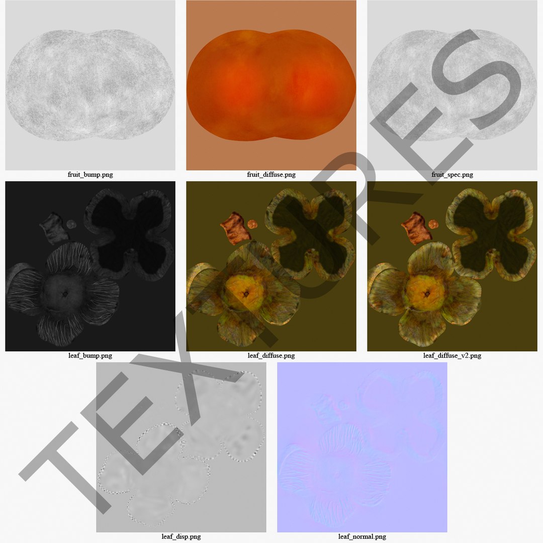 3d model of persimmon 2 https://p.turbosquid.com/ts-thumb/re/vFI1WH/0iTYtda2/persimmon_4/jpg/1383098110/1920x1080/fit_q87/f5f97aa639a7e852cdddd6860df93ebdca23cc54/persimmon_4.jpg
