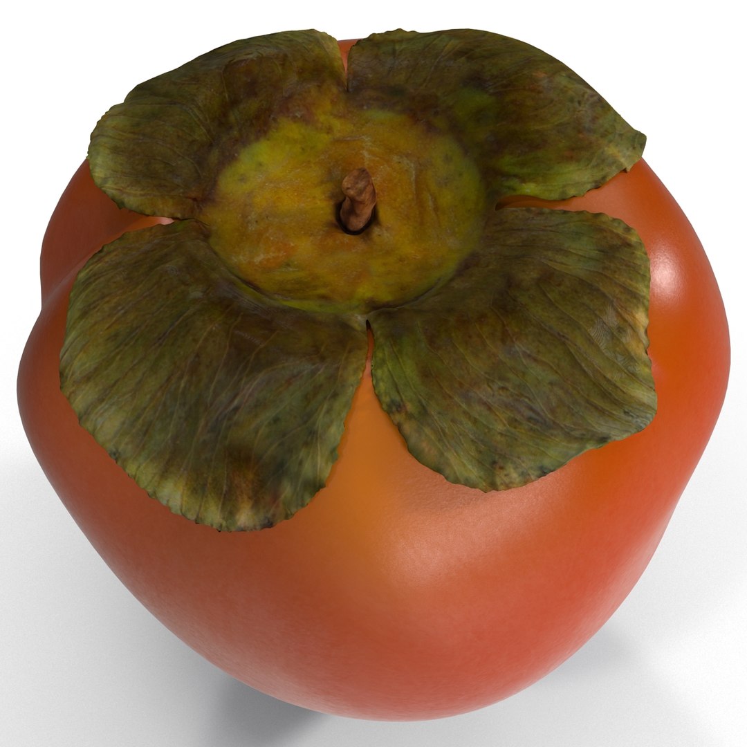 3d model of persimmon 2 https://p.turbosquid.com/ts-thumb/re/vFI1WH/3XeufSdf/persimmon_15/jpg/1383098151/1920x1080/fit_q87/4c746974e3fc874777885274655332d2102513d1/persimmon_15.jpg