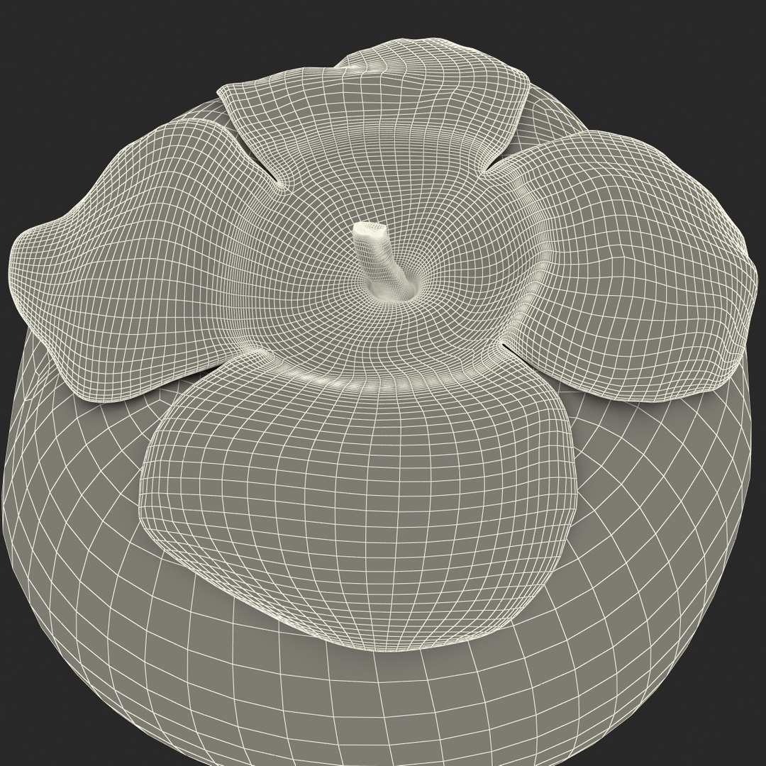 3d model of persimmon 2 https://p.turbosquid.com/ts-thumb/re/vFI1WH/64uGH11u/persimmon_166/jpg/1383098664/1920x1080/fit_q87/f140f4d74d317d70d192c767ff6212c812e7dcb7/persimmon_166.jpg