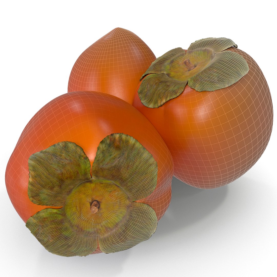 3d model of persimmon 2 https://p.turbosquid.com/ts-thumb/re/vFI1WH/Xs2epbnn/persimmon_7/jpg/1383098122/1920x1080/fit_q87/7379afb3e12169c579063702861dcb8ed60eb58e/persimmon_7.jpg