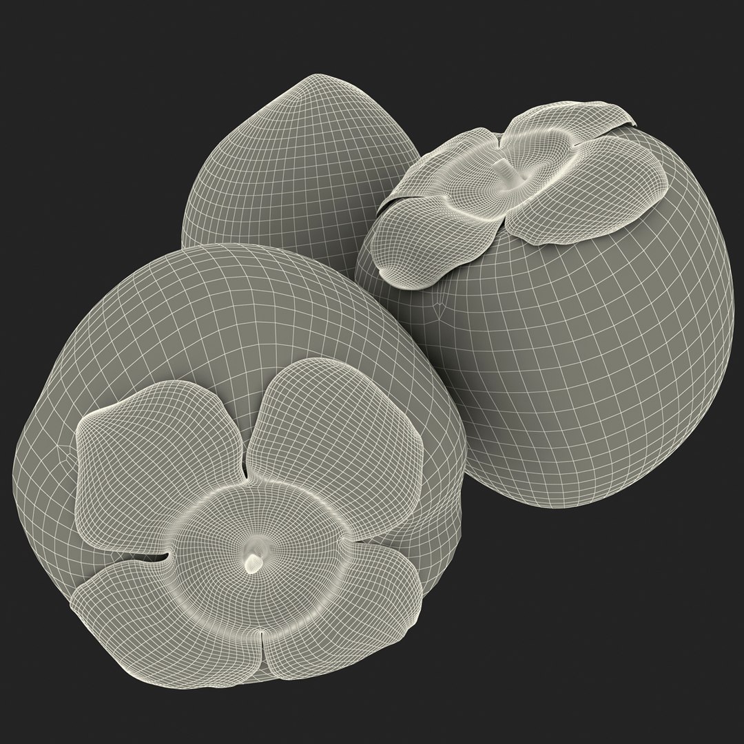 3d model of persimmon 2 https://p.turbosquid.com/ts-thumb/re/vFI1WH/YncYZQAa/persimmon_161/jpg/1383098649/1920x1080/fit_q87/7a9e461a9145a308402b40fb01f02e14ed9bd15a/persimmon_161.jpg