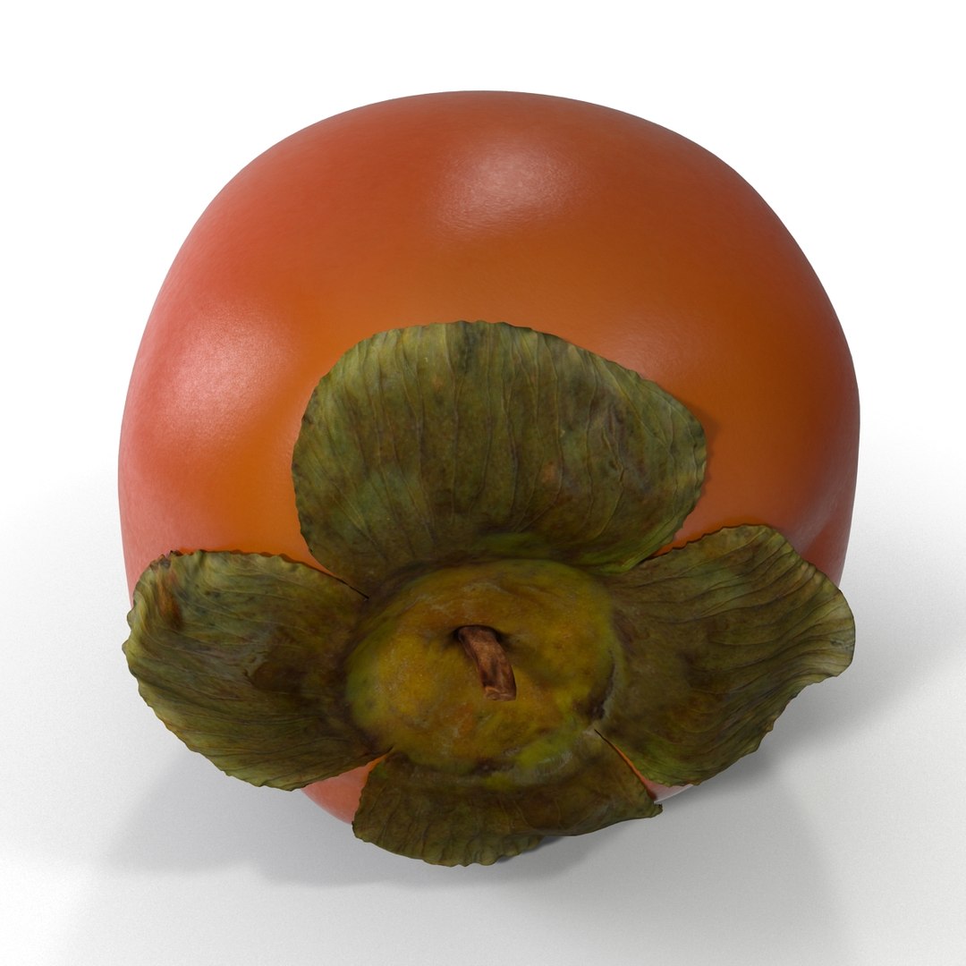 3d model of persimmon 2 https://p.turbosquid.com/ts-thumb/re/vFI1WH/bwmagO0w/persimmon_9/jpg/1383098140/1920x1080/fit_q87/7323bd35bd18e10805ebdca51a6d29d5f2e283e5/persimmon_9.jpg