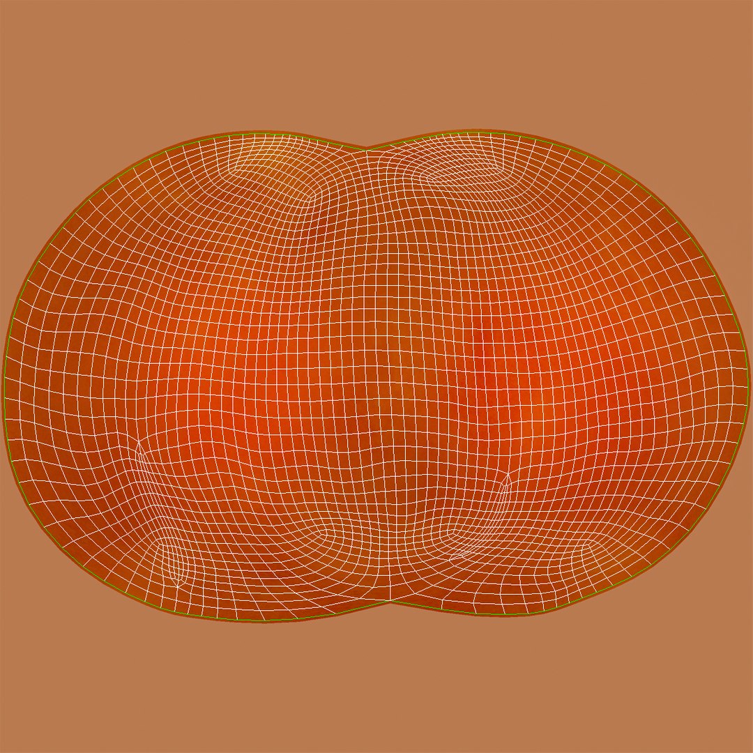 3d model of persimmon 2 https://p.turbosquid.com/ts-thumb/re/vFI1WH/eAQkTf6f/persimmon_3/jpg/1383098104/1920x1080/fit_q87/38e2a39199bdbf540ee56287b60fa60f8816cc7c/persimmon_3.jpg