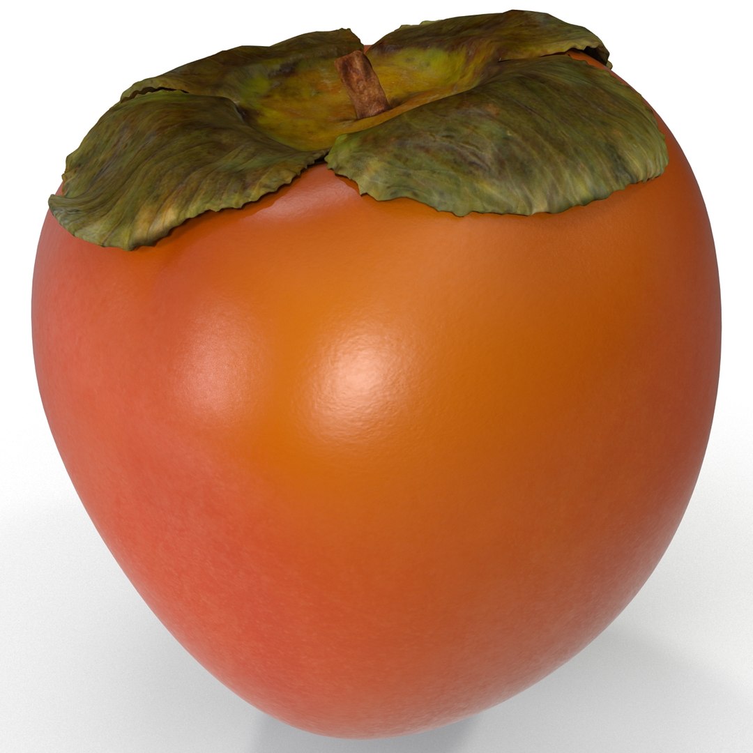 3d model of persimmon 2 https://p.turbosquid.com/ts-thumb/re/vFI1WH/h9Bz4gRs/persimmon_14/jpg/1383098147/1920x1080/fit_q87/a6e722e3970b840f9ed64677caefc448e119bc23/persimmon_14.jpg